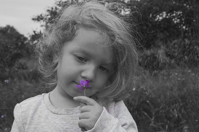 女の子の赤ちゃんの花を無料でダウンロード-GIMPオンラインイメージエディターで編集できる無料の写真または画像