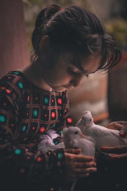 Ücretsiz indir kız çocuk bebek çocuklar kuş güvercin ücretsiz resim GIMP ücretsiz çevrimiçi resim düzenleyici ile düzenlenecek