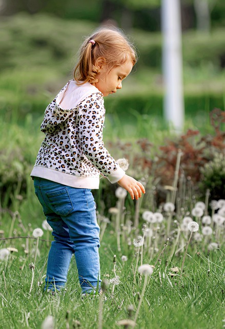 Free download girl child picking flowers free picture to be edited with GIMP free online image editor