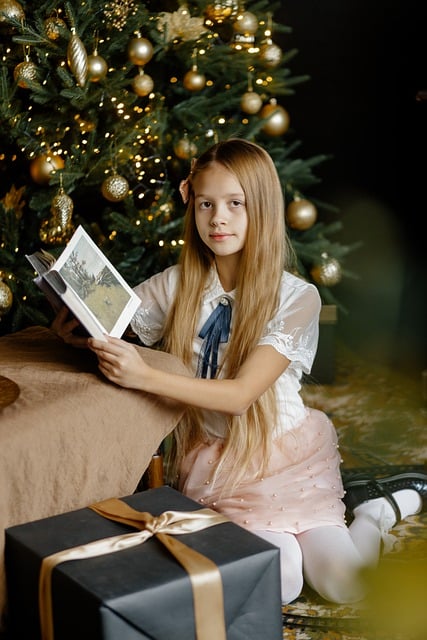 Free download girl christmas portrait living room free picture to be edited with GIMP free online image editor