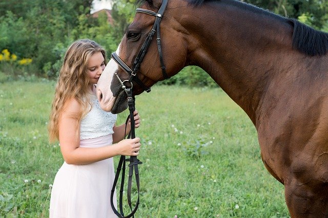 무료 다운로드 Girl Friendship Horse - 무료 사진 또는 GIMP 온라인 이미지 편집기로 편집할 사진