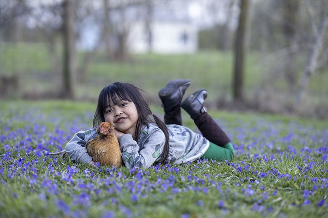 Free download girl hen chicken pet flowers joy free picture to be edited with GIMP free online image editor