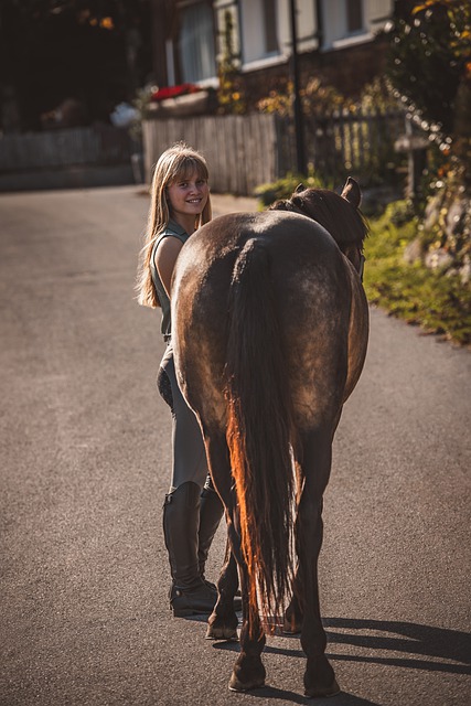 Free download girl horse pony path walk rider free picture to be edited with GIMP free online image editor