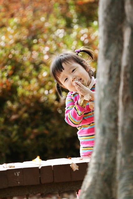 Free download girl kid childhood autumn baby free picture to be edited with GIMP free online image editor