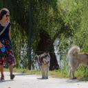 Girls and dogs  screen for extension Chrome web store in OffiDocs Chromium