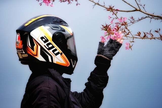 Free download girl spring helmet biker free picture to be edited with GIMP free online image editor