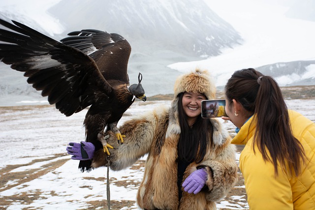 Free download girls women eagle hunter mongolia free picture to be edited with GIMP free online image editor