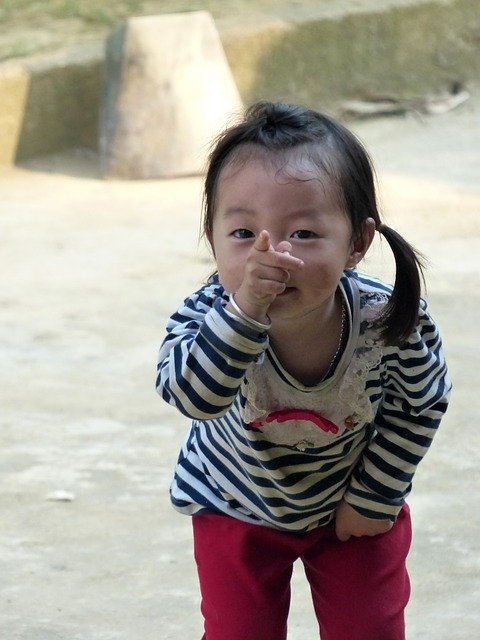 Free download Girl Vietnamese Young -  free photo or picture to be edited with GIMP online image editor