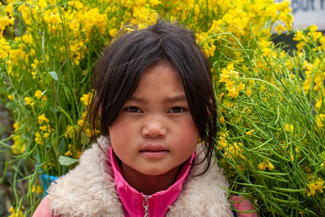 הורדה חינם ילדה וייטנאם דיוקן Ha giang תמונה בחינם לעריכה עם עורך תמונות מקוון בחינם של GIMP