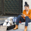 Girl with high bun hair and dogs  screen for extension Chrome web store in OffiDocs Chromium