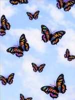 Free download Girly_Butterflies free photo or picture to be edited with GIMP online image editor