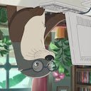 Github Pinned Repos  screen for extension Chrome web store in OffiDocs Chromium