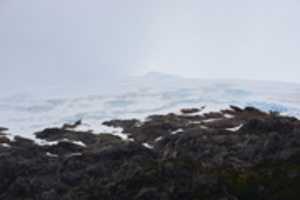 Free download Glacier covered mountains free photo or picture to be edited with GIMP online image editor