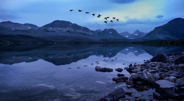 Muat turun percuma Glacier National Park Geese Over - foto atau gambar percuma untuk diedit dengan editor imej dalam talian GIMP