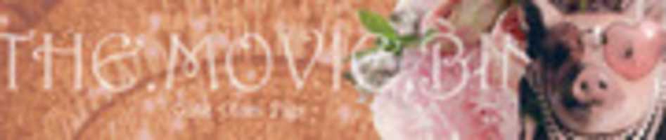 Free download Glamourpig Header free photo or picture to be edited with GIMP online image editor