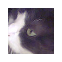 GLARE  screen for extension Chrome web store in OffiDocs Chromium