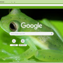 Glass Frog  screen for extension Chrome web store in OffiDocs Chromium