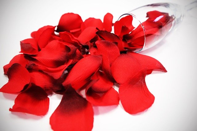 Free download Glass Red Rose Petals -  free photo or picture to be edited with GIMP online image editor