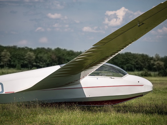 Free download glider ask13 wood plane fields free picture to be edited with GIMP free online image editor