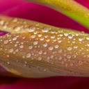 Glittering drops of water  screen for extension Chrome web store in OffiDocs Chromium