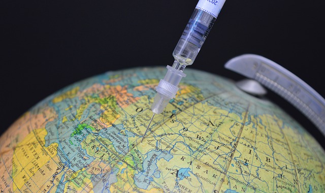 Free download globe syringe vaccination vaccinate free picture to be edited with GIMP free online image editor