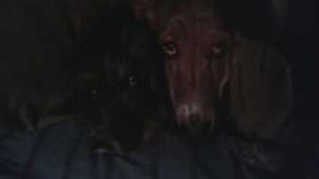 Free download G MARCUZZI ( 8) barcinadas free photo or picture to be edited with GIMP online image editor