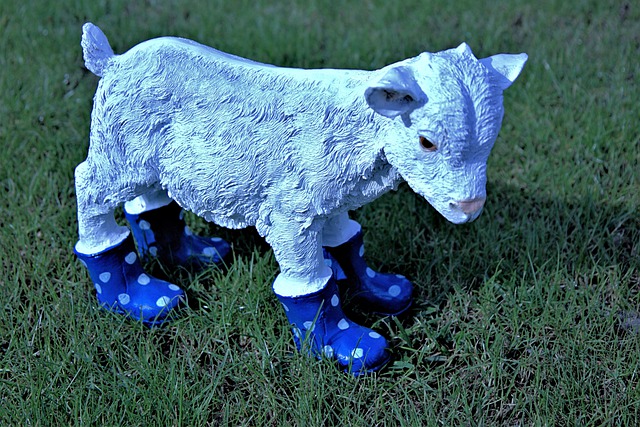 Free download goat lawn white blue boots eyes free picture to be edited with GIMP free online image editor