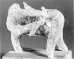 Free download Goat (one of a pair) free photo or picture to be edited with GIMP online image editor