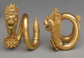 Free download Gold and copper alloy spiral earring with lion-griffin head terminal free photo or picture to be edited with GIMP online image editor
