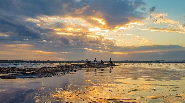 Скачать бесплатно Gold Ducks Plastic - бесплатное фото или изображение для редактирования с помощью онлайн-редактора изображений GIMP