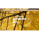Golden autumn  screen for extension Chrome web store in OffiDocs Chromium