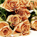Golden brown roses  screen for extension Chrome web store in OffiDocs Chromium