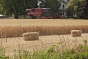 Free download Golden Fields free photo or picture to be edited with GIMP online image editor