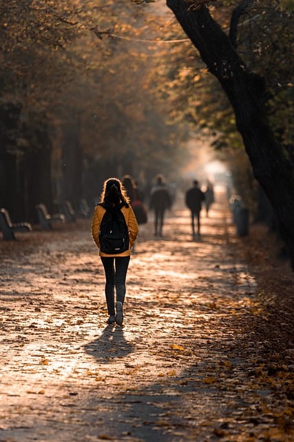 Free download golden hour nature portrait park free picture to be edited with GIMP free online image editor