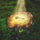 Golden key tree  screen for extension Chrome web store in OffiDocs Chromium