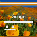 Golden Poppy  screen for extension Chrome web store in OffiDocs Chromium