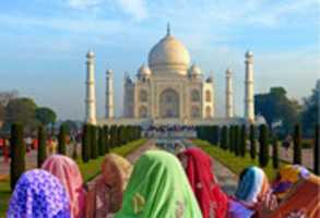 Free download Golden Triangle Standard Tour Packages free photo or picture to be edited with GIMP online image editor