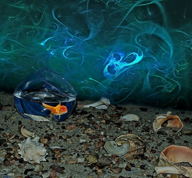 Free download Goldfish Aquarium Sand -  free illustration to be edited with GIMP free online image editor