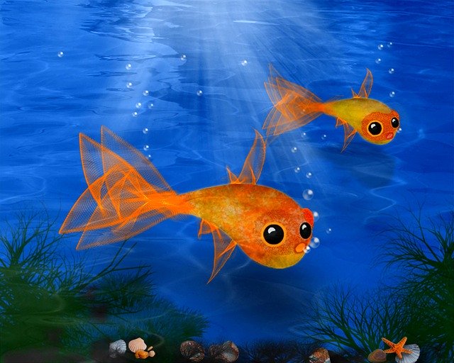 Free download Goldfish Fish Water -  free illustration to be edited with GIMP free online image editor