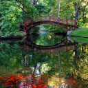 Goldfish in blue lake  screen for extension Chrome web store in OffiDocs Chromium