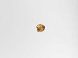 Free download Gold head of a lion free photo or picture to be edited with GIMP online image editor