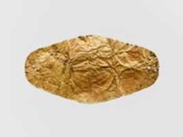 Free download Gold leaf frontlet (band for forehead) free photo or picture to be edited with GIMP online image editor