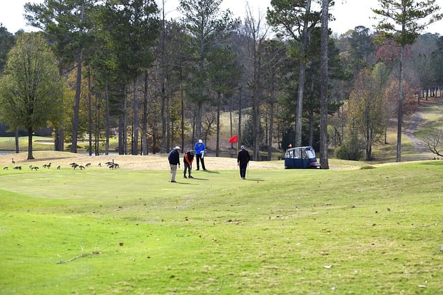 Free download golf golfer golf course game sport free picture to be edited with GIMP free online image editor
