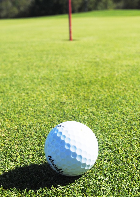 Free download golf green ball flag course sport free picture to be edited with GIMP free online image editor