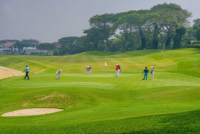 Free download golf sport golfer stadium lapangan free picture to be edited with GIMP free online image editor