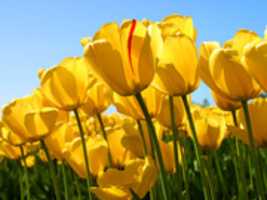 Free download Good 4K free photo or picture to be edited with GIMP online image editor