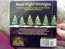 Free download Good Night Michigan free photo or picture to be edited with GIMP online image editor