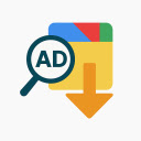 Google Ads Transparency Data Exporter  screen for extension Chrome web store in OffiDocs Chromium