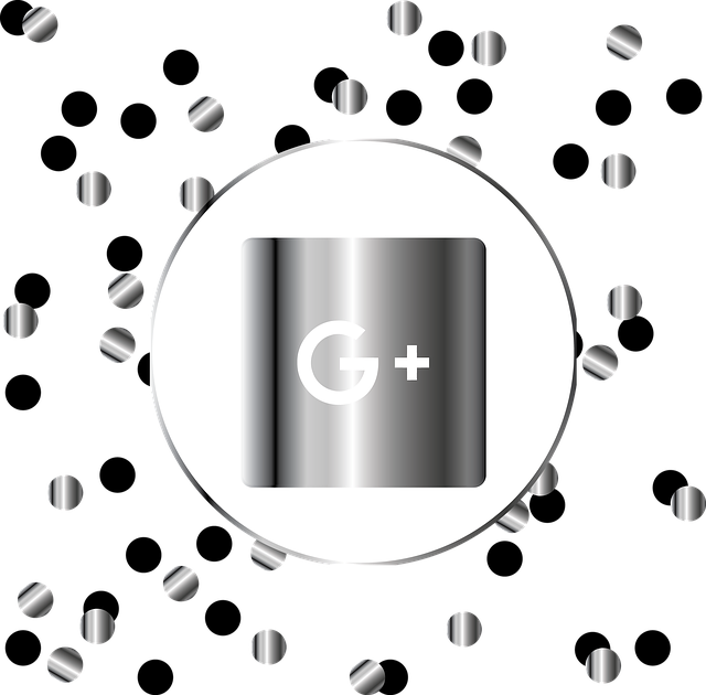 Free download Google Plus Silver -  free illustration to be edited with GIMP free online image editor