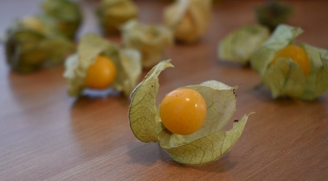 Free download Gooseberry Physalis Healthy -  free photo or picture to be edited with GIMP online image editor